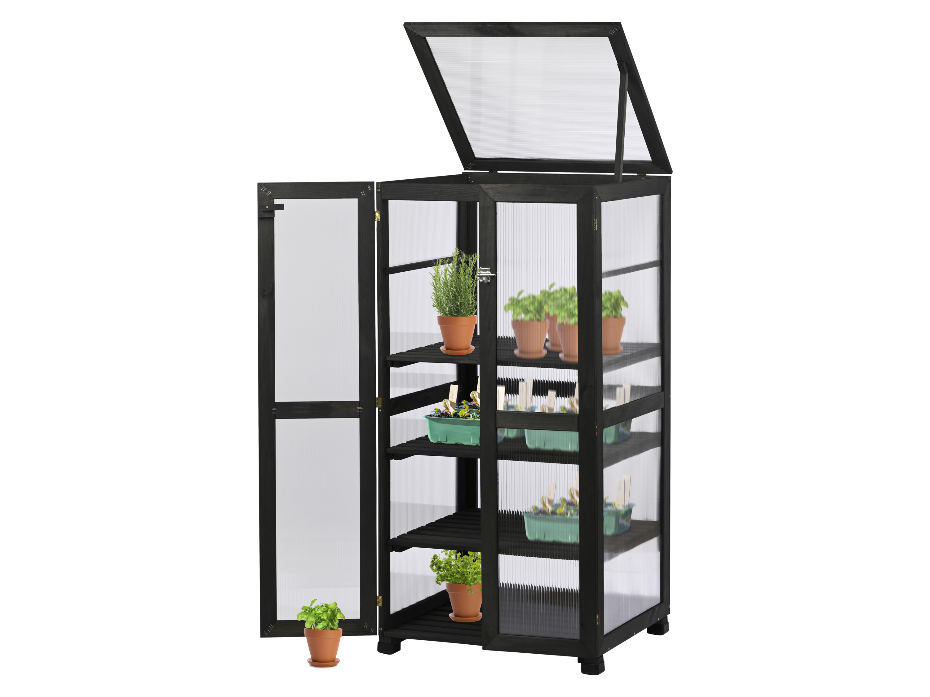 DOBAR Kweekkast Dome (antraciet)