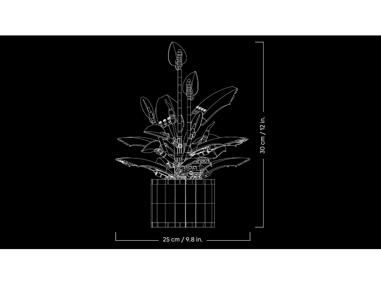 Lijntekening van een speelgoedplant in een pot met afmetingen 30 cm bij 25 cm.