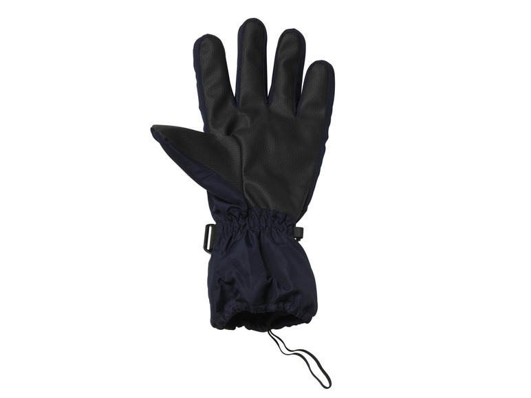 CRIVIT Skihandschoenen (8,5, Handschoenen zwart)