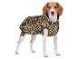 Beagle hond in een luipaardprint jas