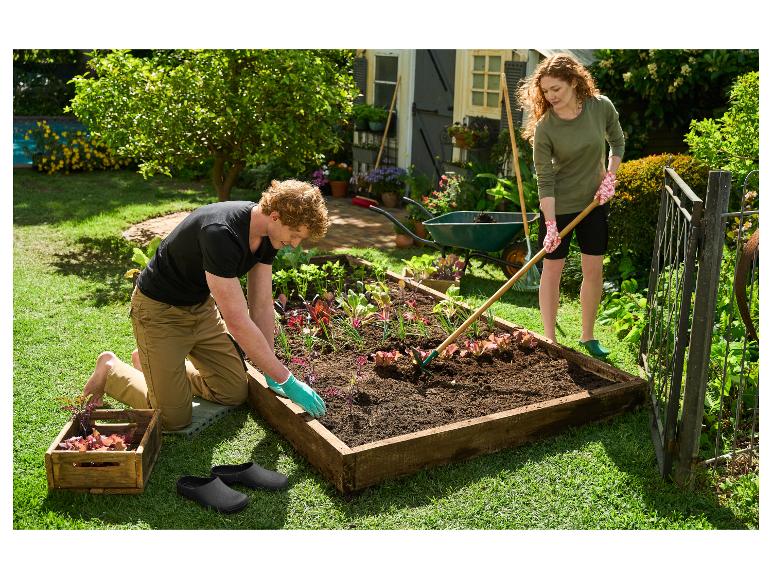 Paar plant groenten in een verhoogde moestuin, met tuingereedschap en een kruiwagen.