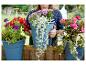 Vrouw houdt een blauwe plantenbak met diverse kleurrijke bloemen, omringd door meer plantenbakken.