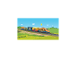 Speelgoedtrein met kleurrijke wagons met tekenfilmdieren, rijdend door een groen landschap.
