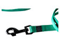 Een groene hondenriem met een zwarte karabijnhaak van het merk Karlie.
