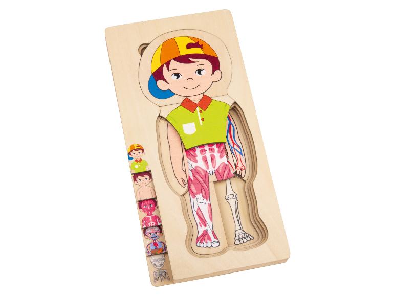 Houten puzzel: menselijke anatomie, spieren, skelet.