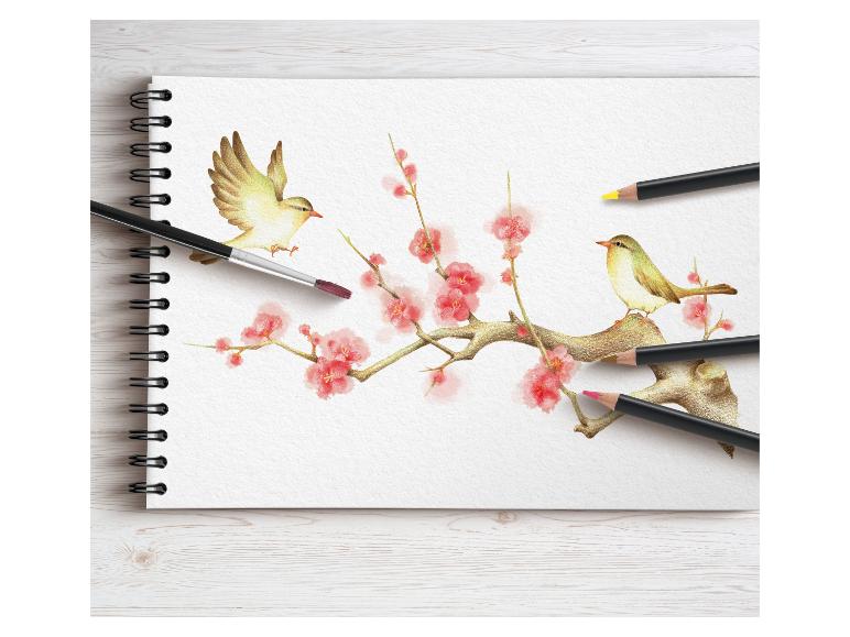 Aquarel vogels op een pruimenboomtak in een schetsboek.