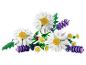Een boeket witte madeliefjes en paarse lavendelbloemen met een lieveheersbeestje.