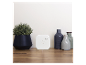 Wit smart home-apparaat naast een plant en decoratieve vazen op een houten oppervlak.