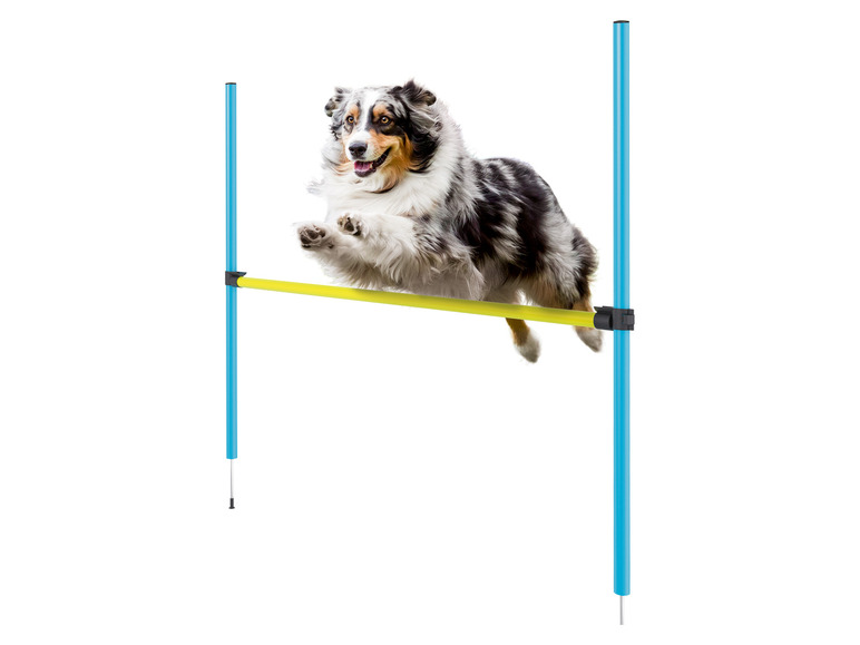 Ga naar volledige schermweergave: zoofari® Honden agility set - afbeelding 3