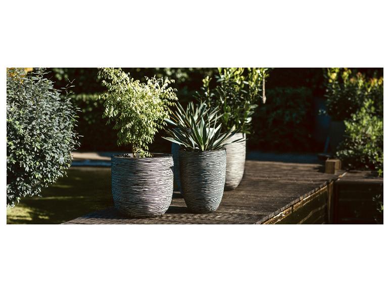 Drie potplanten op een houten vlonder naast een vijver, omringd door weelderig groen.