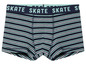 Blauw-wit-groene gestreepte boxershorts met 'Skate' print.