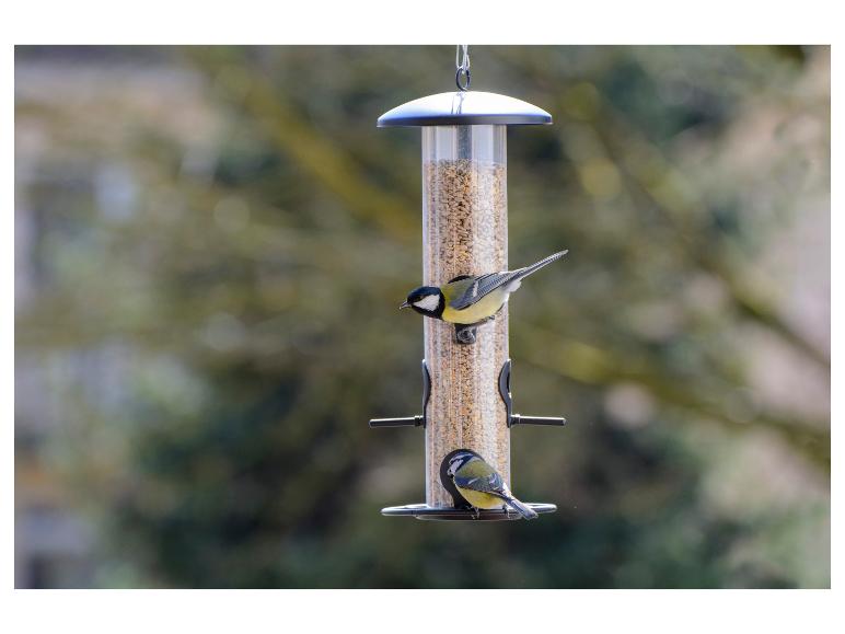 Twee koolmezen eten uit een vogelvoederhuisje gevuld met zaden.
