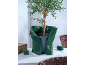 Olijfboom in pot, omwikkeld met groene stof, met touw en manden op een witte tafel.