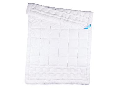 Lidl-shop LIVARNO® Dekbed 200 x 200 cm aanbieding