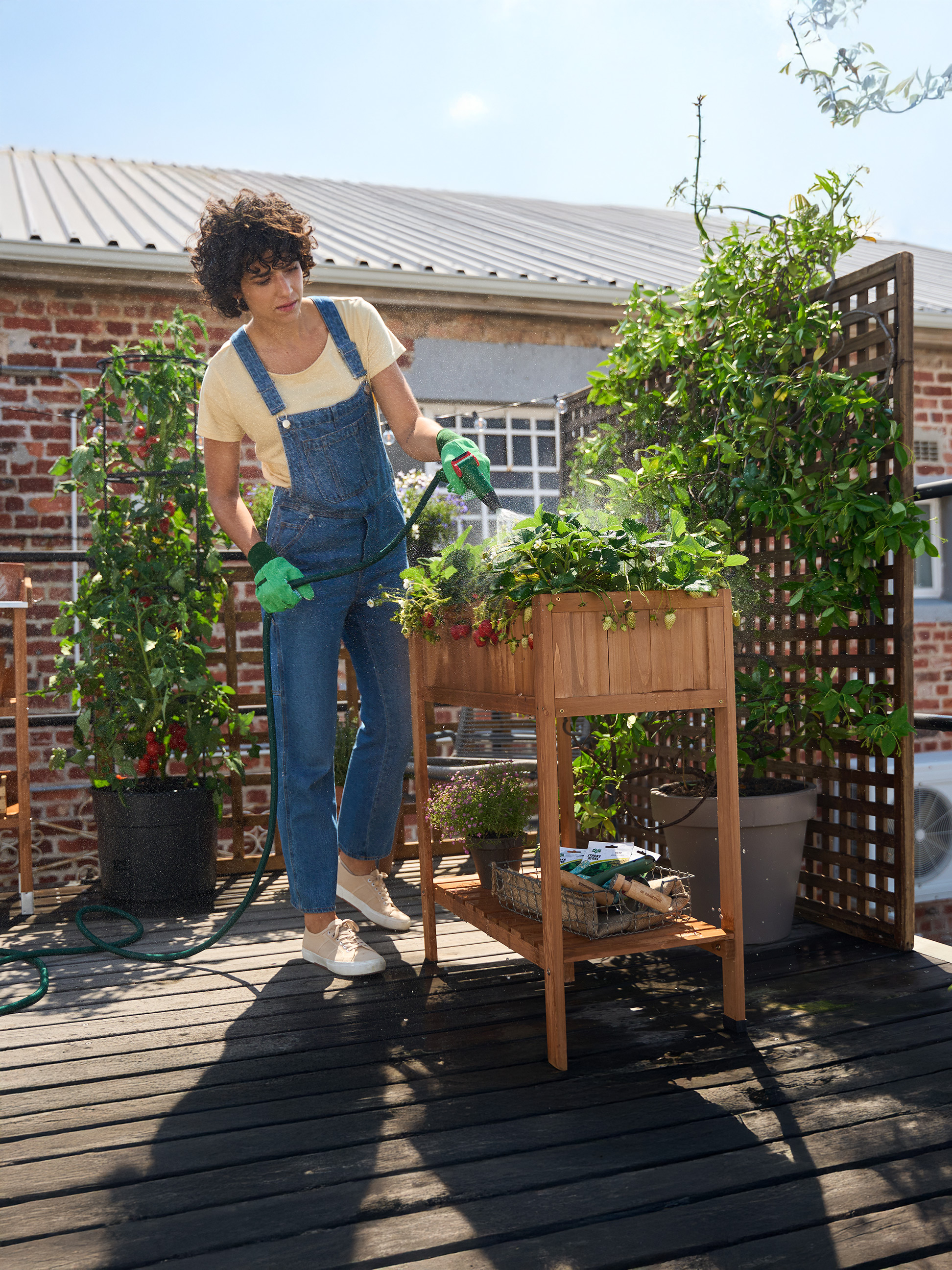 Vrouw besproeit aardbeienplanten in een houten verhoogde plantenbak op een zonnige daktuin.
