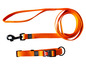 Een oranje hondenriem en halsband met een zwart kliksluiting.