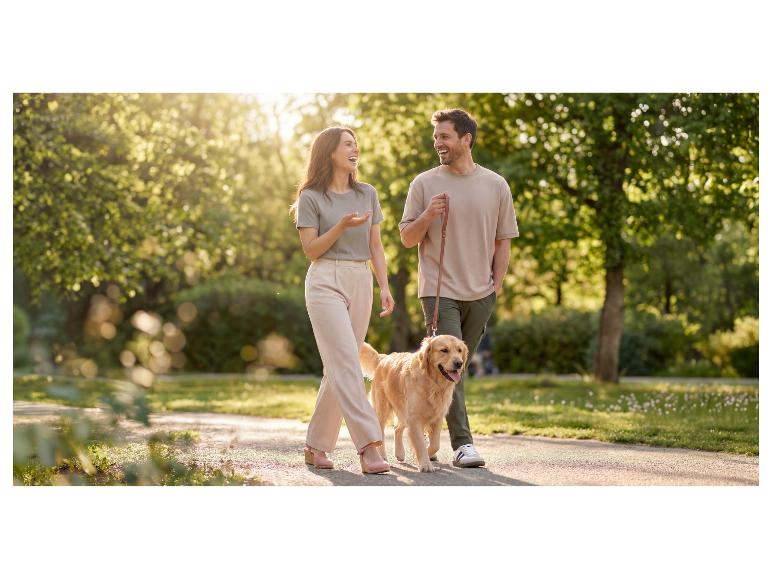 Een stel wandelt met een golden retriever in een park op een zonnige dag.