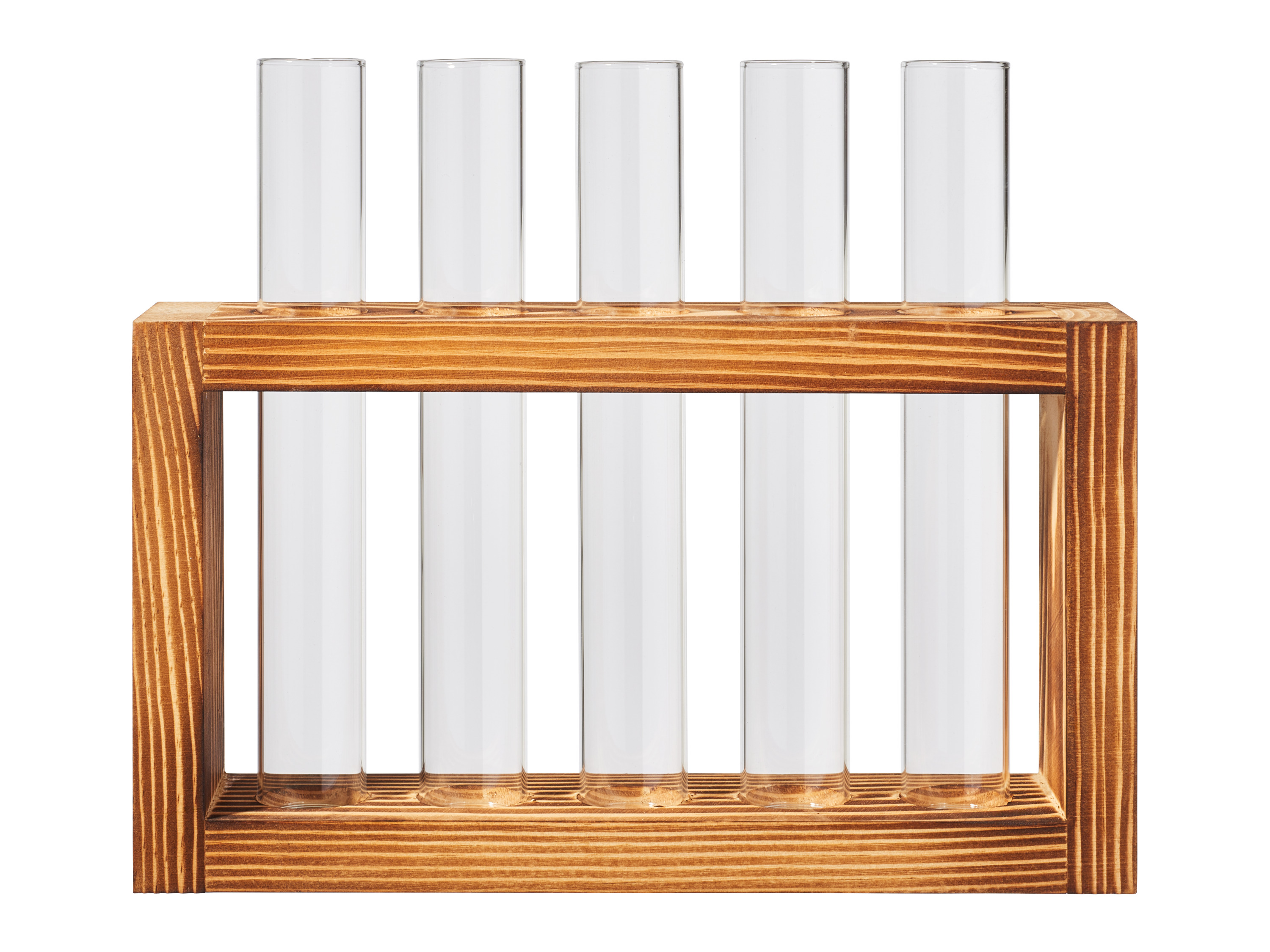 PARKSIDE Kweekset voor stekjes (Buisjes/houten rekje)