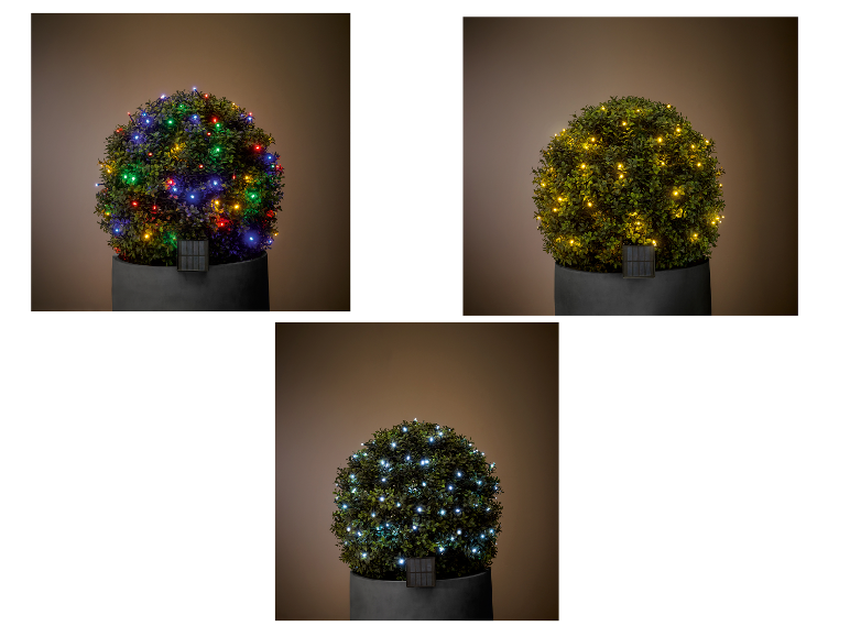 Drie op zonne-energie werkende LED-lichtsnoeren in verschillende kleuren op een potplant.