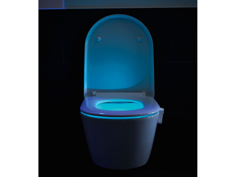 Ga naar volledige schermweergave: LIVARNO home LED-WC-licht - afbeelding 12