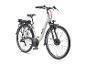 Witte elektrische fiets met zwart zadel, bagagedrager en spatborden, van opzij gezien.