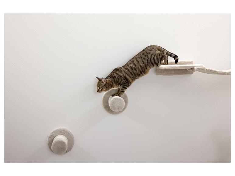 Gestreepte kat op een wandklimrek voor katten met pluche treden en platforms.