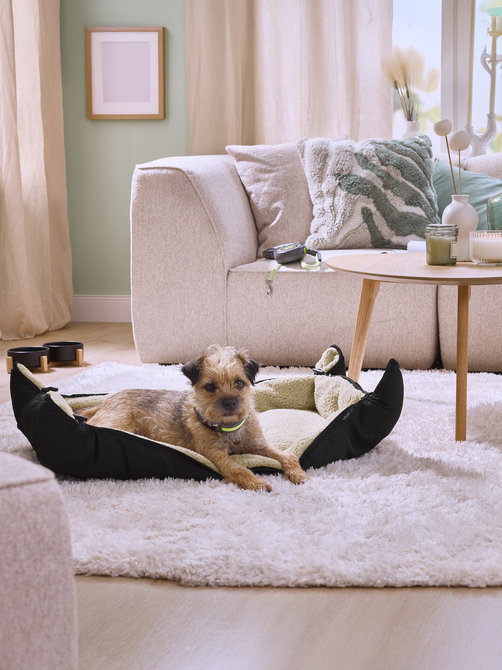 Hond in hondenmand, bank, salontafel en voerbakken in een woonkamer.