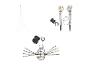 Halloween decoraties: verlicht spinnenweb, skeletarmen en verlichte spin.