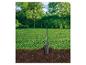 Tuinspade in de grond met gras en wortels, wazige groene achtergrond.