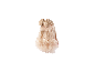 Blond kaphofd van achteren gezien met een strik in het haar.