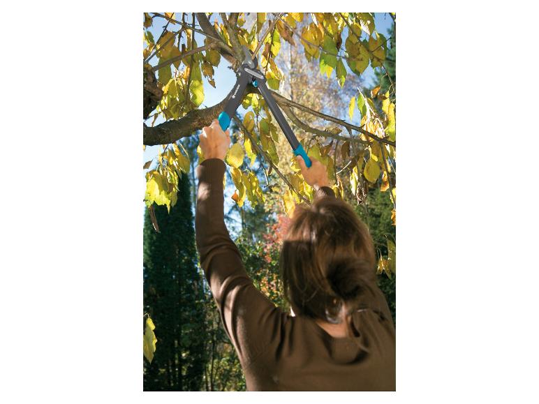 Vrouw snoeit een boom met Gardena tuinschaar.