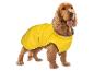 Cocker Spaniel hond met een felgele waterdichte hondenjas, staand op een witte achtergrond