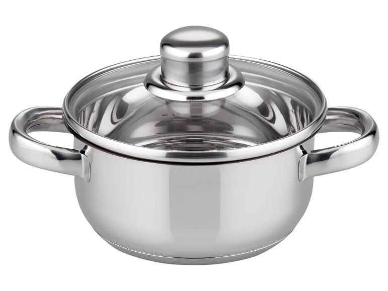 Roestvrijstalen pan met deksel en twee handvatten