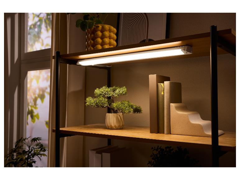 Verlichte plank met planten en boeken, met een LED-buis onder de bovenste plank.