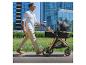 Man duwt een zwarte en gouden kinderwagen op een zonnige dag met moderne gebouwen op de achtergrond.
