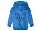 Blauwe kinderhoodie met een Sonic the Hedgehog gezichtsprint en de tekst 'SONIC'.