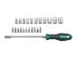 Gereedschapset met schroevendraaier, flexibele verlenging, bits en doppen van 4 tot 14 mm.
