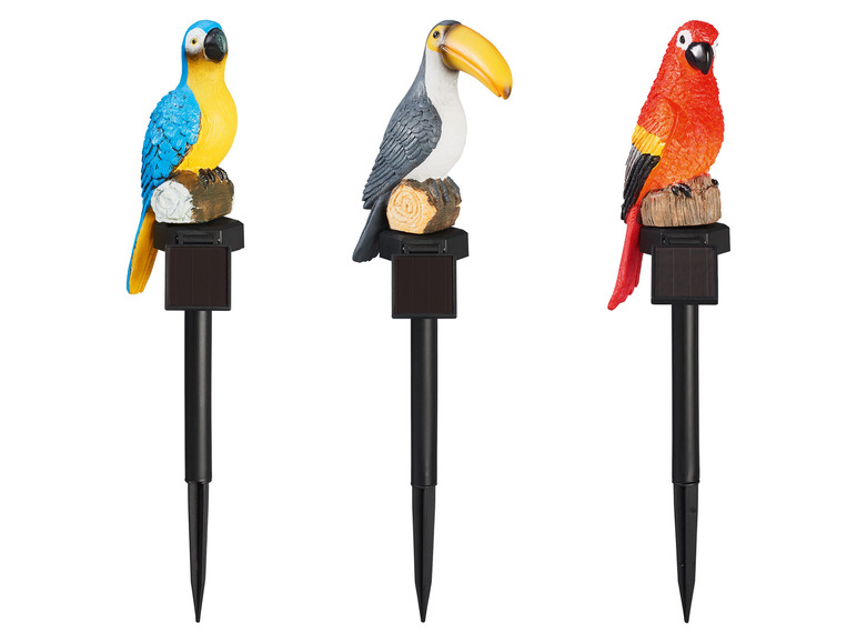 LIVARNO home LED solar tuinstekker Vogels (Rode papegaai)