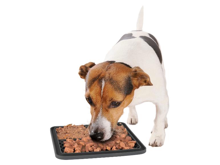 Hond eet uit een slow feeder bak.