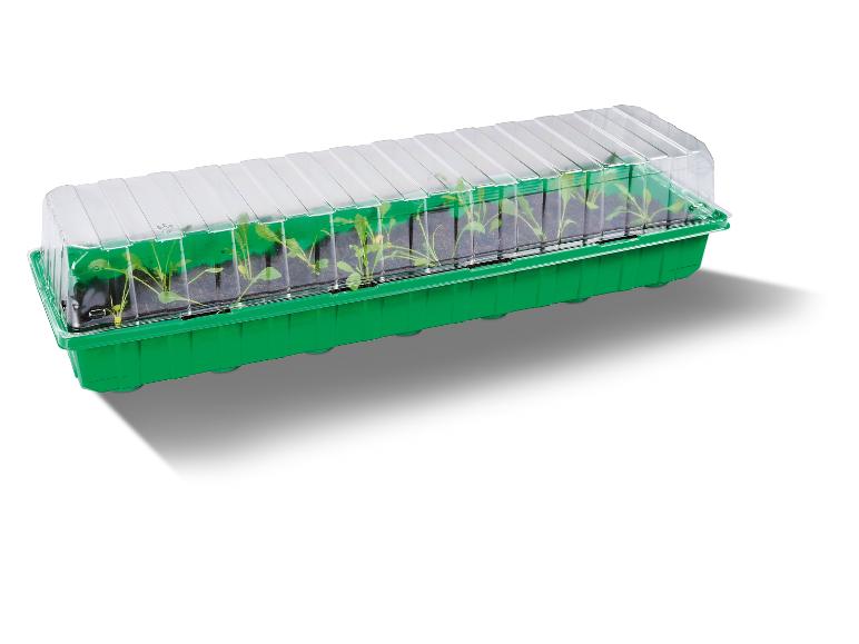 Een groene kweekbak met doorzichtig deksel voor het kweken van plantjes.