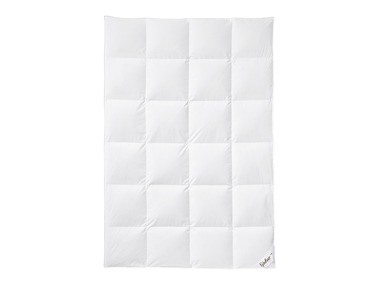 Lidl-shop Fjödur Luxus ganzendonzen cassette-dekbed, warm aanbieding Lidl-shop Fjödur Luxus ganzendonzen cassette-dekbed, warm aanbieding