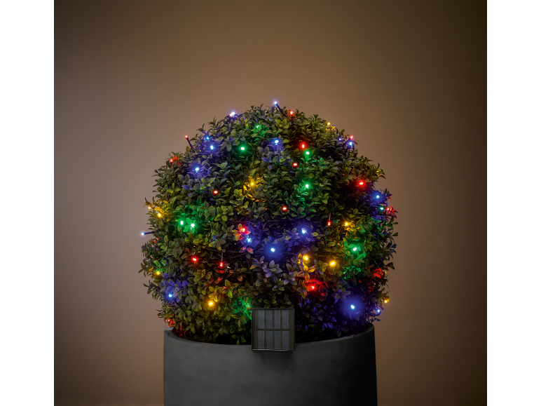 Groene sierplant met kleurrijke lampjes in een pot, met zonnepaneel.