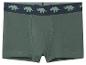 Groene jongensboxershort met triceratops-patroon op de tailleband