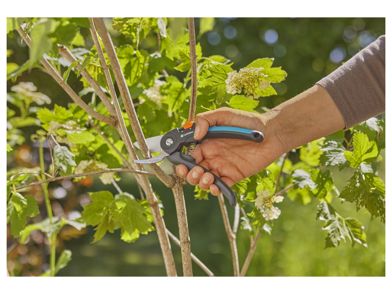 Gardena snoeischaar in gebruik bij het snoeien van een struik.