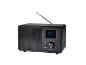 Zwarte houten digitale radio met display, knoppen en telescopische antenne.