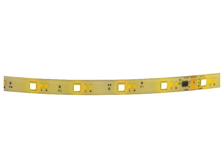 LED-stripverlichting met warm- en koudwitte diodes, 24V stroomingang en GND-aansluitingen.