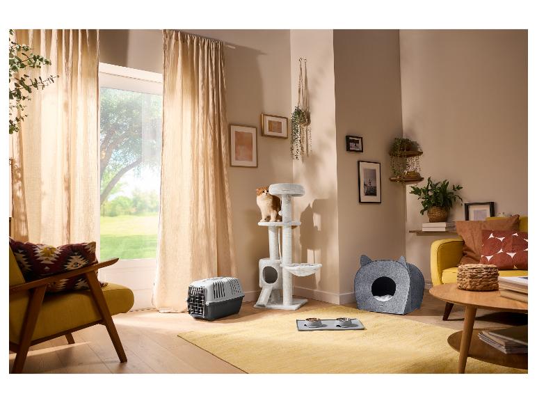 Kat op krabpaal, kattenreismand, voerbakken en kattenmand in de woonkamer.