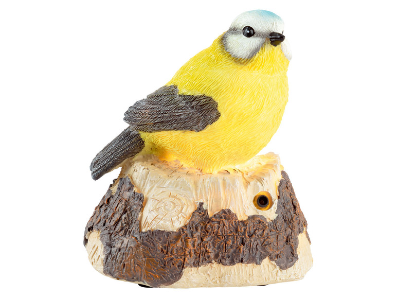 Ga naar volledige schermweergave: LIVARNO home LED-decoratievogel met bewegingsmelder - afbeelding 18