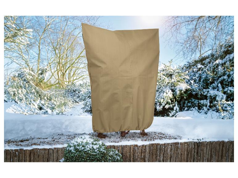 Plantenkas vorstbescherming WALL - transparant 215 × 200 x 80 cm (HxBxL) | Mobiele kassen - Overwintering | De Olijfgaard