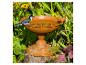 Terracotta vogelbad met een vogel op de rand, omringd door groen en gele bloemen.